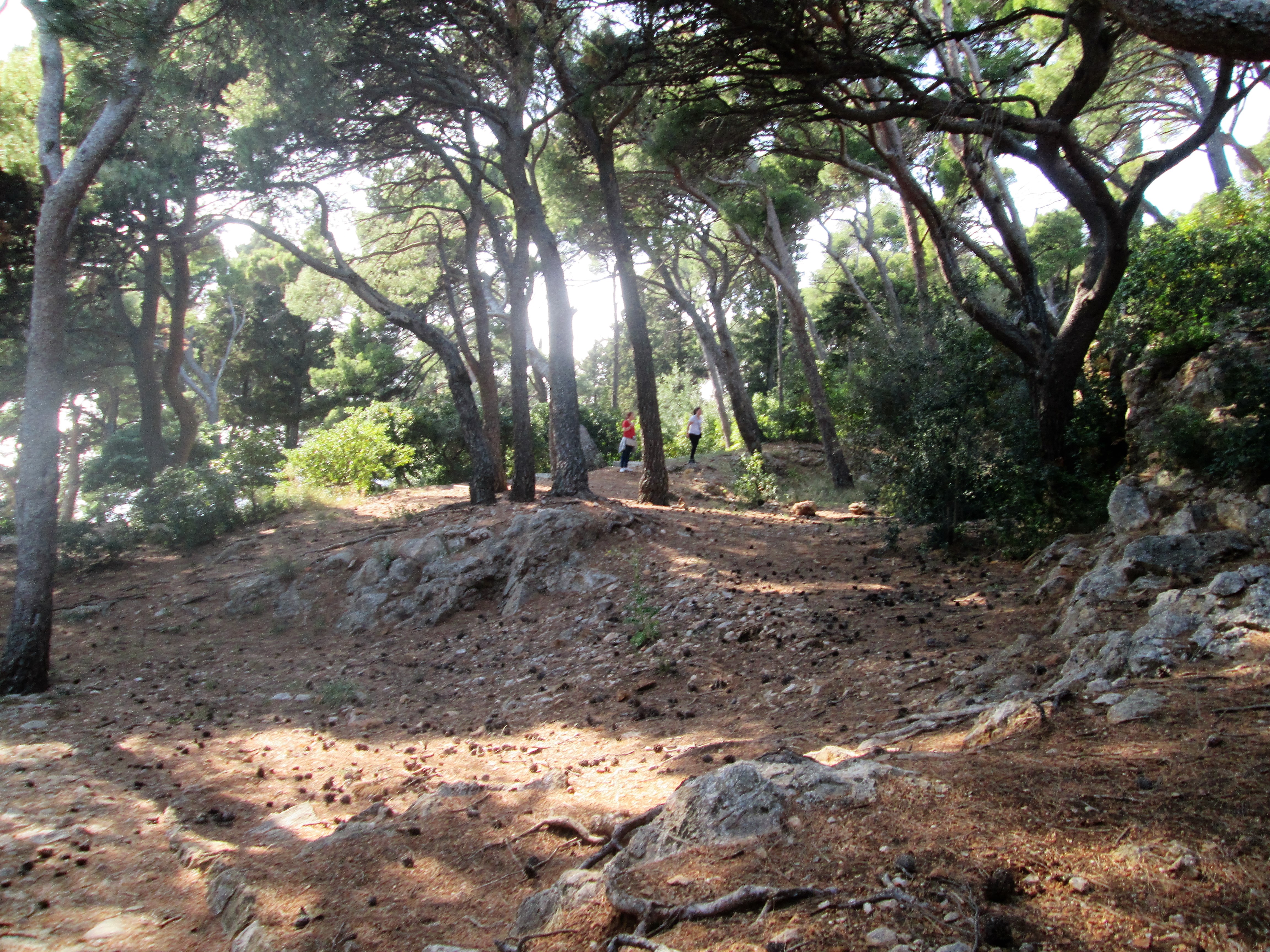 Treasure hunt The hunt might take you to the woods